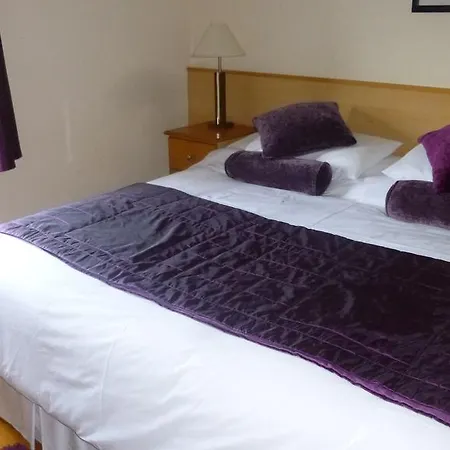 Corcoran's Bed and Breakfast Ferns