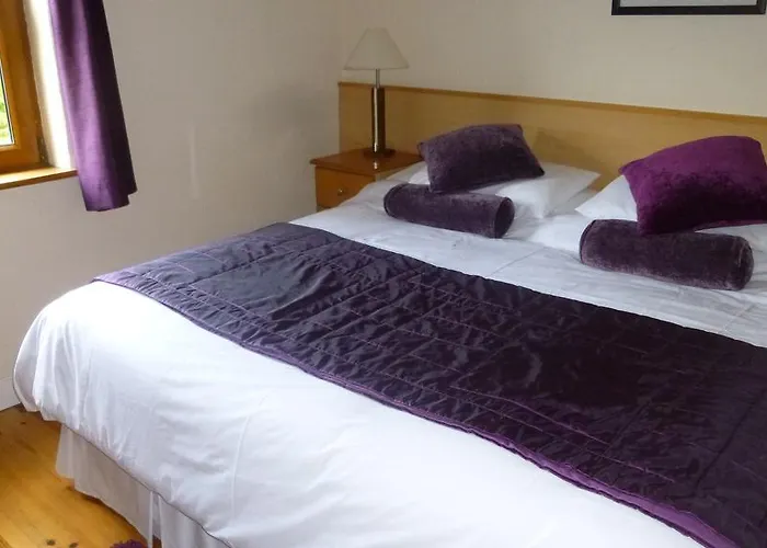 Corcoran's Bed & Breakfast Ferns